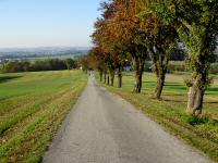  Blick auf die Wanderstrecke 