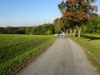  Blick auf die Wanderstrecke 