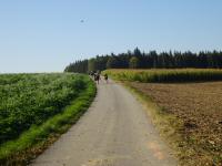  Blick auf die Wanderstrecke 