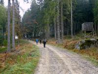  Wanderroute nach Schwarzau 
