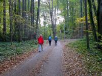  Wanderroute ber die Schattaustrae 