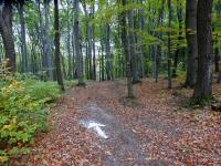  Blick auf die Wanderstrecke 