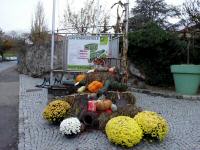  Ein schner Willkommengru der Gartenbauschule 