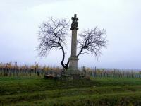  Blick zur Donatus-Statue in der Riede Kremsfeld 