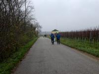 Wanderroute zur K+L in Gobelsburg mit Gegenverkehr