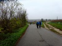 Wanderroute zur K+L in Gobelsburg mit Gegenverkehr