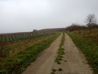  Wanderroute entlang des Gobelsbergs 