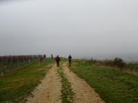 Blick auf die Wanderstrecke auf dem Gobelsberg 