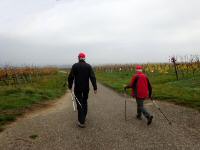 Wanderroute zum Sachsenberg bzw. zur Riede Redling