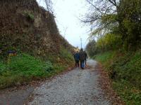  Wanderroute nach Zeiselberg 