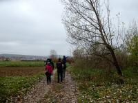 Wanderroute Richtung Langenlois-Haindorf