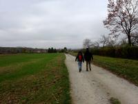Wanderroute Richtung Langenlois-Haindorf