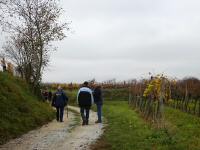  Wanderroute durch die Riede Spiegel 