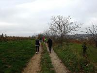  Blick auf die Wanderstrecke 