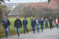  Blick auf die Wanderstrecke bei Gobelsburg 