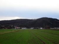 Fernblick zum Bisamberg und zum Ort Bisamberg 