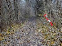  Wanderroute durch die Donauau zur Donau 