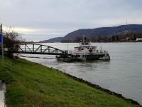 nochmals der Blick zur Donau Rollfhre Korneuburg - Klosterneuburg