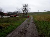 Blick auf die Wanderstrecke - bergan auf den Rabenberg 