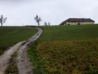 Blick auf die Wanderstrecke - bergan auf den Rabenberg 