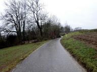  Blick auf die Wanderstrecke am Rabenberg 