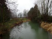  Blick auf den Kristeinbach beim Gehft Wiesen 