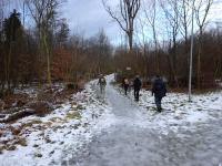  Wanderroute durch den Stadtwald 