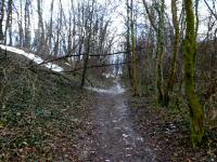  Wanderoute ber den Weiterner Kellerweg 