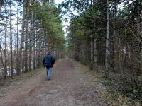  Wanderroute entlang des Schotterteichs Viehofen 