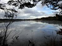  Blick auf den Schotterteich Viehofen (Groer Viehofner See)