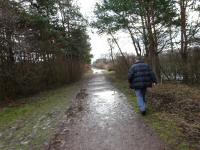  Wanderroute entlang des Schotterteichs Viehofen 