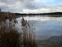 Blick auf den Schotterteich Viehofen (Groer Viehofner See)