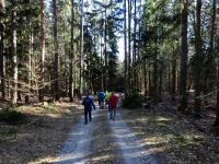  Blick auf die Wanderstrecke 