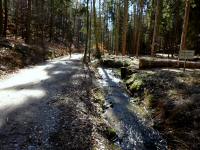  Wanderroute entlang des Lengenfelder Bachs 