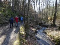  Wanderroute entlang des Lengenfelder Bachs 