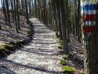  Blick auf die Wanderstrecke 