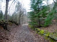  Blick auf die Wanderstrecke 