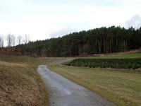  Blick auf die Wanderstrecke 