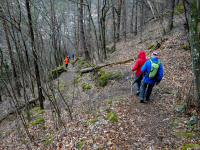  Wanderroute bergab ins Weitental 