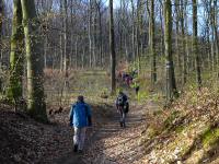  Wanderroute ber den Martinsberg 