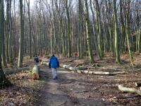  Wanderroute ber den Martinsberg 