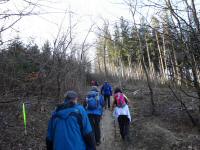  Wanderroute ber den Martinsberg 