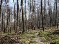  Wanderroute ber den Scheiblingsteinberg 