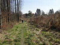  Wanderroute nach Scheiblingstein 