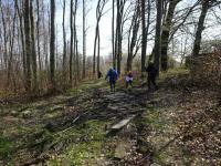  Wanderroute nach Scheiblingstein 