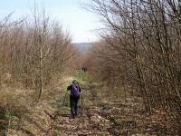  Wanderroute nach Weidlingbach 