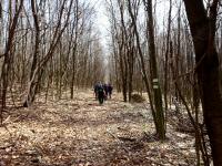  Wanderroute nach Weidlingbach 