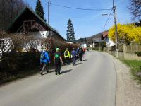 Wanderroute ber die Steinrieglstrae in Weidlingbach