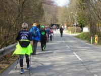 Wanderroute ber die Steinrieglstrae in Weidlingbach