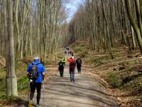  Wanderroute ber die Fuchsgrabenstrae 